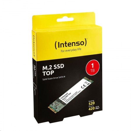 Intenso 1TB M.2 2280 M.2 (SATA) SSD (3832460)